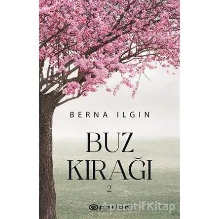 Buz Kırağı 2 - Berna Ilgın - Epsilon Yayınevi