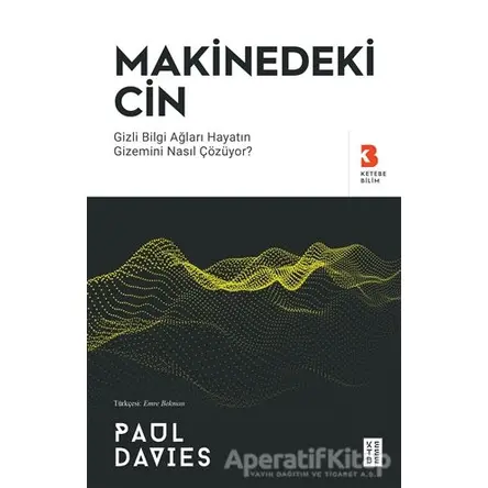 Makinedeki Cin - Paul Davies - Ketebe Yayınları