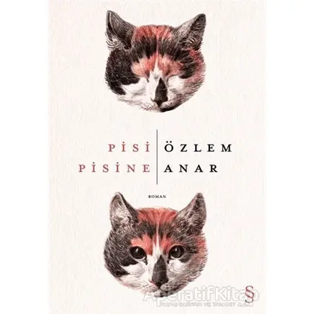 Pisi Pisine - Özlem Anar - Everest Yayınları