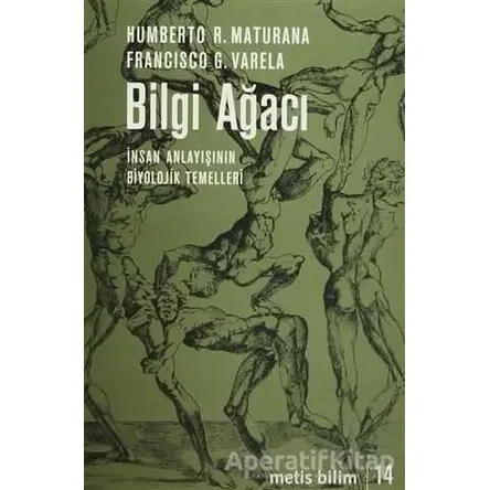 Bilgi Ağacı - Humberto R. Maturana - Metis Yayınları
