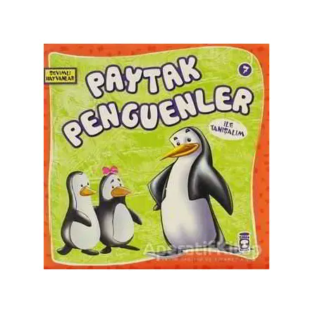 Paytak Penguenler ile Tanışalım - Kolektif - Timaş Çocuk