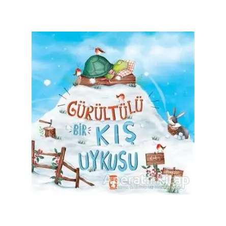 Gürültülü Bir Kış Uykusu - Katy Hudson - Timaş Çocuk