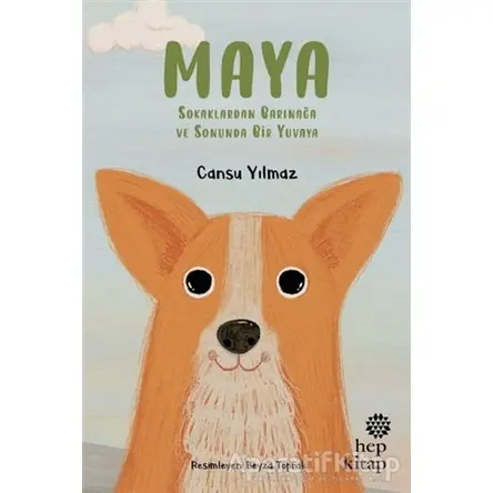 Maya - Sokaklardan Barınağa ve Sonunda Bir Yuvaya - Cansu Yılmaz - Hep Kitap