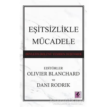 Eşitsizlikle Mücadele: Devletin Rolünü Yeniden Düşünmek - Kolektif - Efil Yayınevi