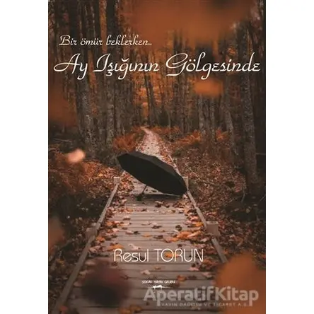 Ay Işığının Gölgesinde - Resul Torun - Sokak Kitapları Yayınları