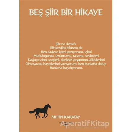 Beş Şiir Bir Hikaye - Metin Karatay - Sokak Kitapları Yayınları