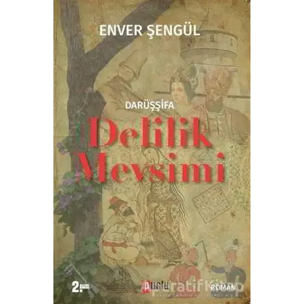 Darüşşifa - Delilik Mevsimi - Enver Şengül - Puslu Yayıncılık