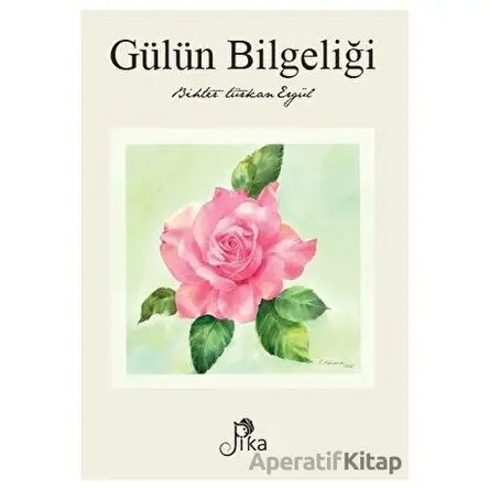 Gülün Bilgeliği - Bihter Türkan Ergül - Pika Yayınevi