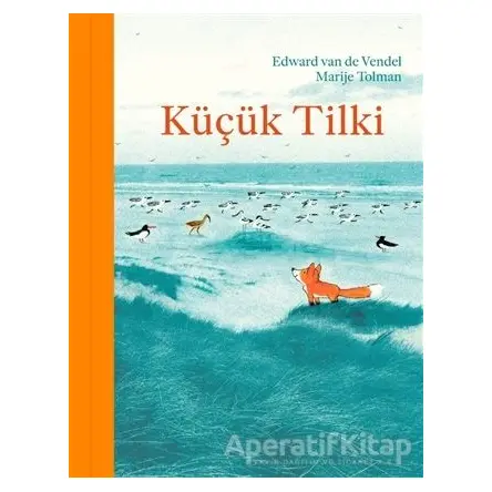 Küçük Tilki - Edward Van De Vendel - MEAV Yayıncılık