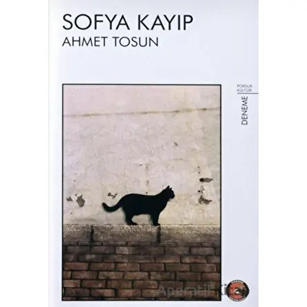Sofya Kayıp - Ahmet Tosun - Porsuk Kültür Yayıncılık
