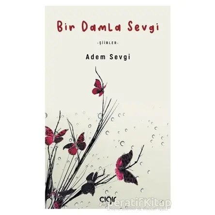 Bir Damla Sevgi - Adem Sevgi - Çığır Yayınları