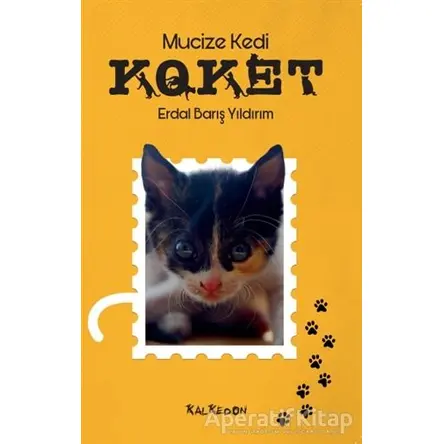 Mucize Kedi Koket - Erdal Barış Yıldırım - Kalkedon Yayıncılık