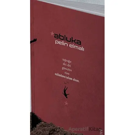 Abluka - Pelin Elmalı - Klaros Yayınları