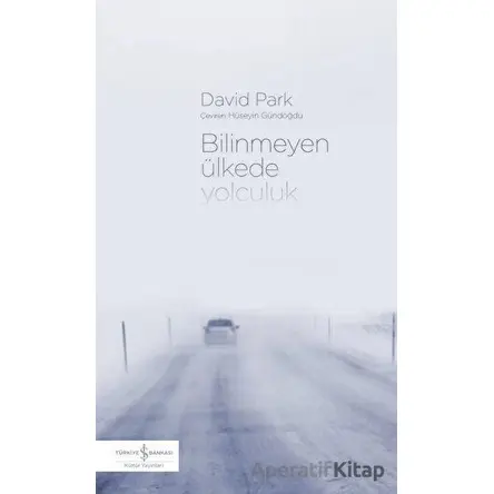 Bilinmeyen Ülkede Yolculuk - David Park - İş Bankası Kültür Yayınları