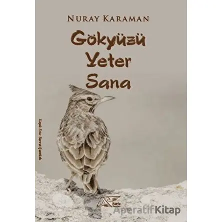 Göktüzü Yeter Sana - Nuray Karaman - Kuytu Yayınları
