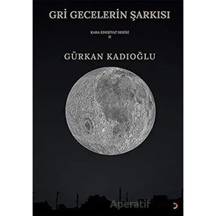 Gri Gecelerin Şarkısı - Gürkan Kadıoğlu - Cinius Yayınları