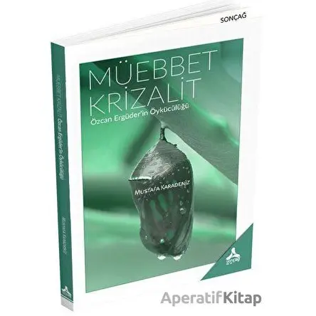Müebbet Krizalit - Özcan Ergüderin Öykücülüğü - Mustafa Karadeniz - Sonçağ Yayınları