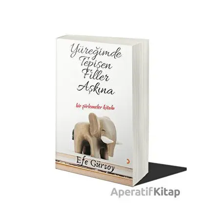 Yüreğimde Tepişen Filler Aşkına - Efe Gürsoy - Cinius Yayınları