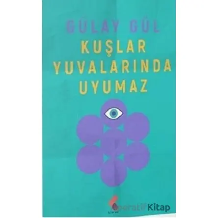 Kuşlar Yuvalarında Uyumaz - Gülay Gül - Klaros Yayınları
