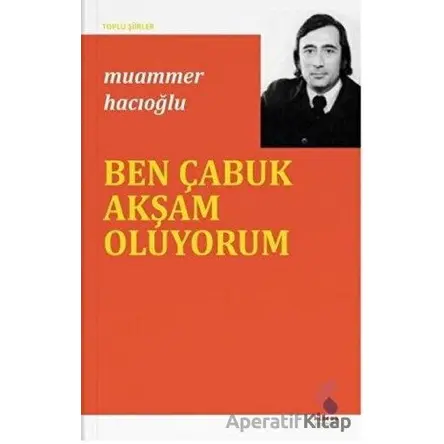 Ben Çabuk Akşam Oluyorum - Muammer Hacıoğlu - Klaros Yayınları