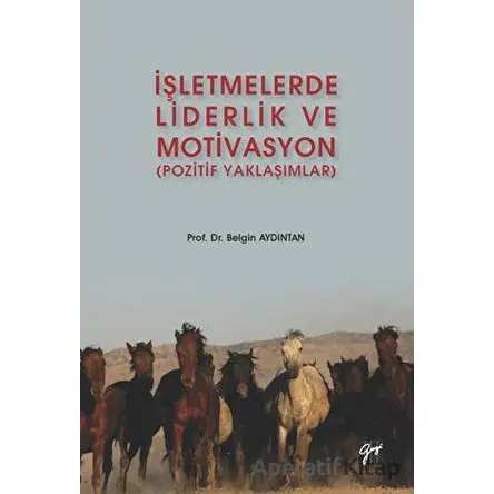 İşletmelerde Liderlik ve Motivasyon - Belgin Aydıntan - Gazi Kitabevi
