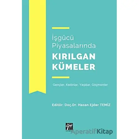 İşgücü Piyasalarında Kırılgan Kümeler - Hasan Ejder Temiz - Gazi Kitabevi