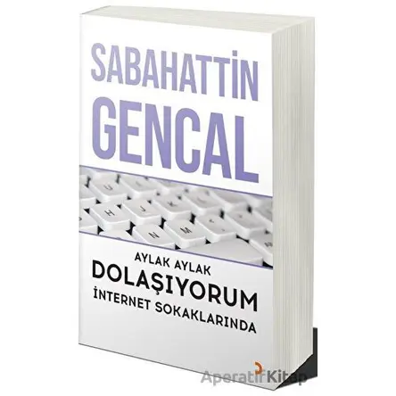 Aylak Aylak Dolaşıyorum İnternet Sokaklarında - Sabahattin Gencal - Cinius Yayınları