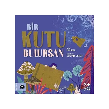 Bir Kutu Bulursan - Ezgi Berk - Vakıfbank Kültür Yayınları
