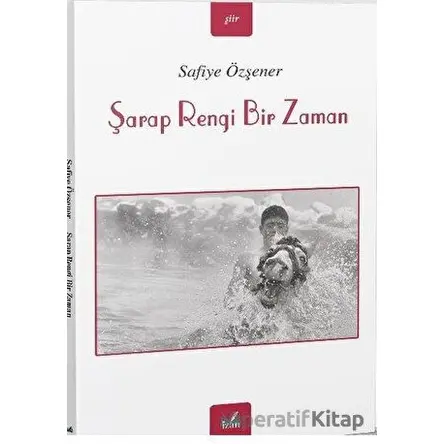 Şarap Rengi Bir Zaman - Safiye Özşener - İzan Yayıncılık