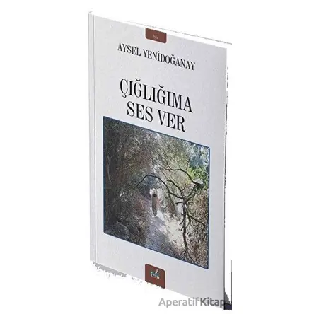 Çığlığıma Ses Ver - Aysel Yenidoğanay - İzan Yayıncılık