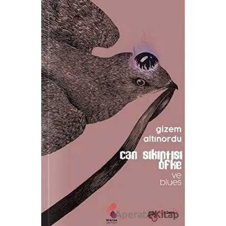 Can Sıkıntısı Öfke ve Blues - Gizem Altınordu - Klaros Yayınları