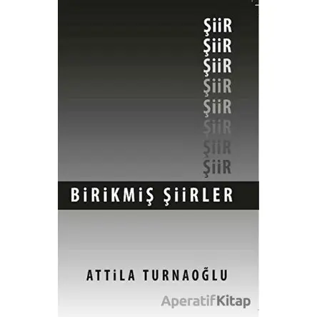 Birikmiş Şiirler - Attila Turnaoğlu - İmgenin Çocukları Yayınevi