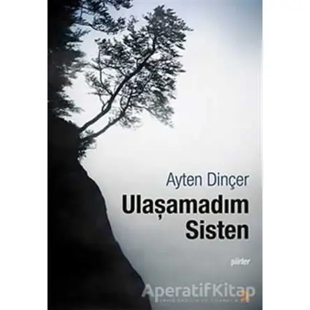 Ulaşamadım Sisten - Ayten Dinçer - Cinius Yayınları
