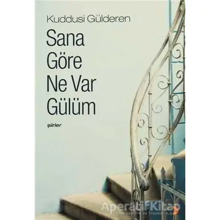 Sana Göre Ne Var Gülüm - Kuddusi Gülderen - Cinius Yayınları