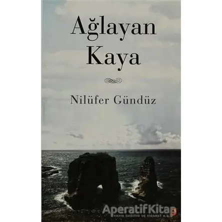 Ağlayan Kaya - Nilüfer Gündüz - Cinius Yayınları