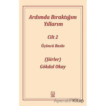 Ardımda Bıraktığım Yıllarım 2 - Gökdal Okay - Luna Yayınları