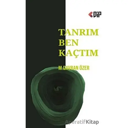 Tanrım Ben Kaçtım - M. Davran Özer - Klaros Yayınları