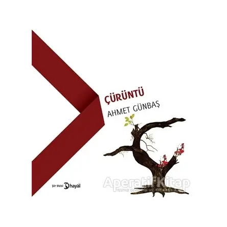 Çürüntü - Ahmet Günbaş - Hayal Yayınları