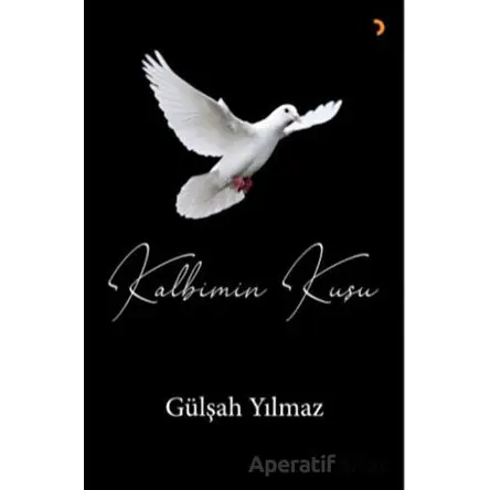 Kalbimin Kuşu - Gülşah Yılmaz - Cinius Yayınları