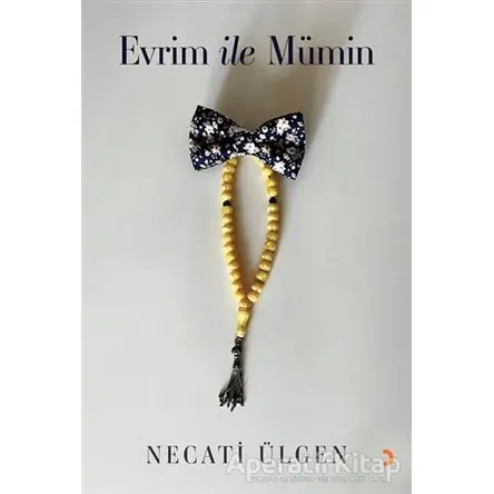 Evrim ile Mümin - Necati Ülgen - Cinius Yayınları