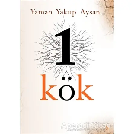 1 Kök - Yaman Yakup Aysan - Cinius Yayınları