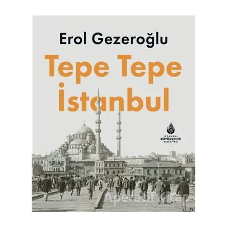 Tepe Tepe İstanbul - Erol Gezeroğlu - İBB Yayınları