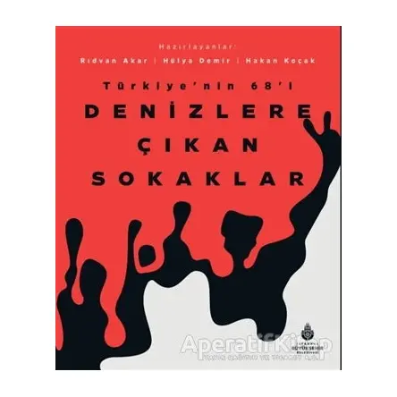 Denizlere Çıkan Sokaklar - Kolektif - İBB Yayınları