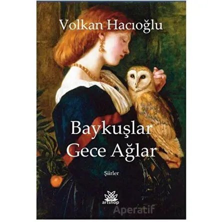 Baykuşlar Gece Ağlar - Volkan Hacıoğlu - Artshop Yayıncılık