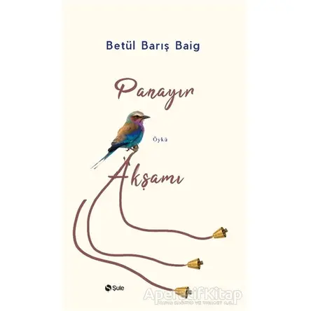 Panayır Akşamı - Betül Barış Baig - Şule Yayınları