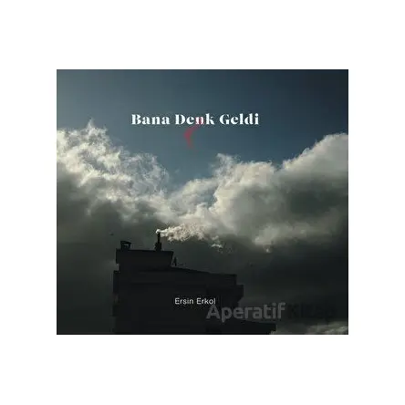 Bana Denk Geldi Gene - Ersin Erkol - Flora Kitap