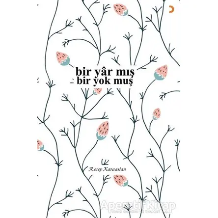 Bir Yar mış - Bir Yok muş - Recep Karaaslan - Cinius Yayınları