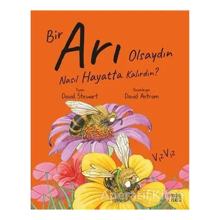 Bir Arı Olsaydın Nasıl Hayatta Kalırdın? - David Stewart - Masalperest