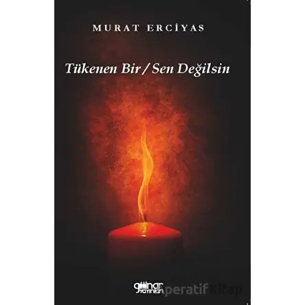 Tükenen Bir Sen Değilsin - Murat Erciyas - Gülnar Yayınları