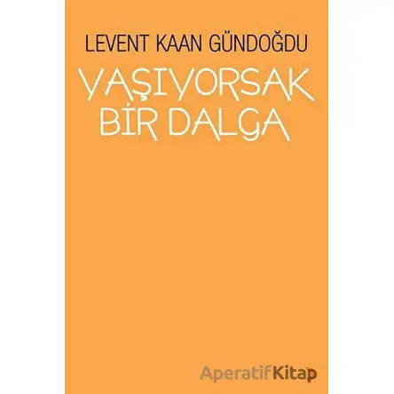 Yaşıyorsak Bir Dalga - Levent Kaan Gündoğdu - Cinius Yayınları